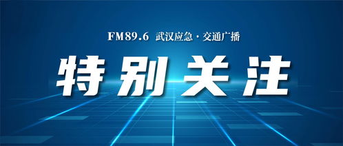 知识产权保护纳入全市营商环境评价体系 武汉建设全国一流知识产权强市