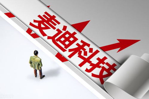 A股国产软件低估值龙头公司一览（附知识产权服务领域名单）