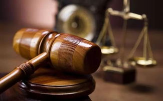 专注鱼知识产权运用与保护专题分享会圆满成功